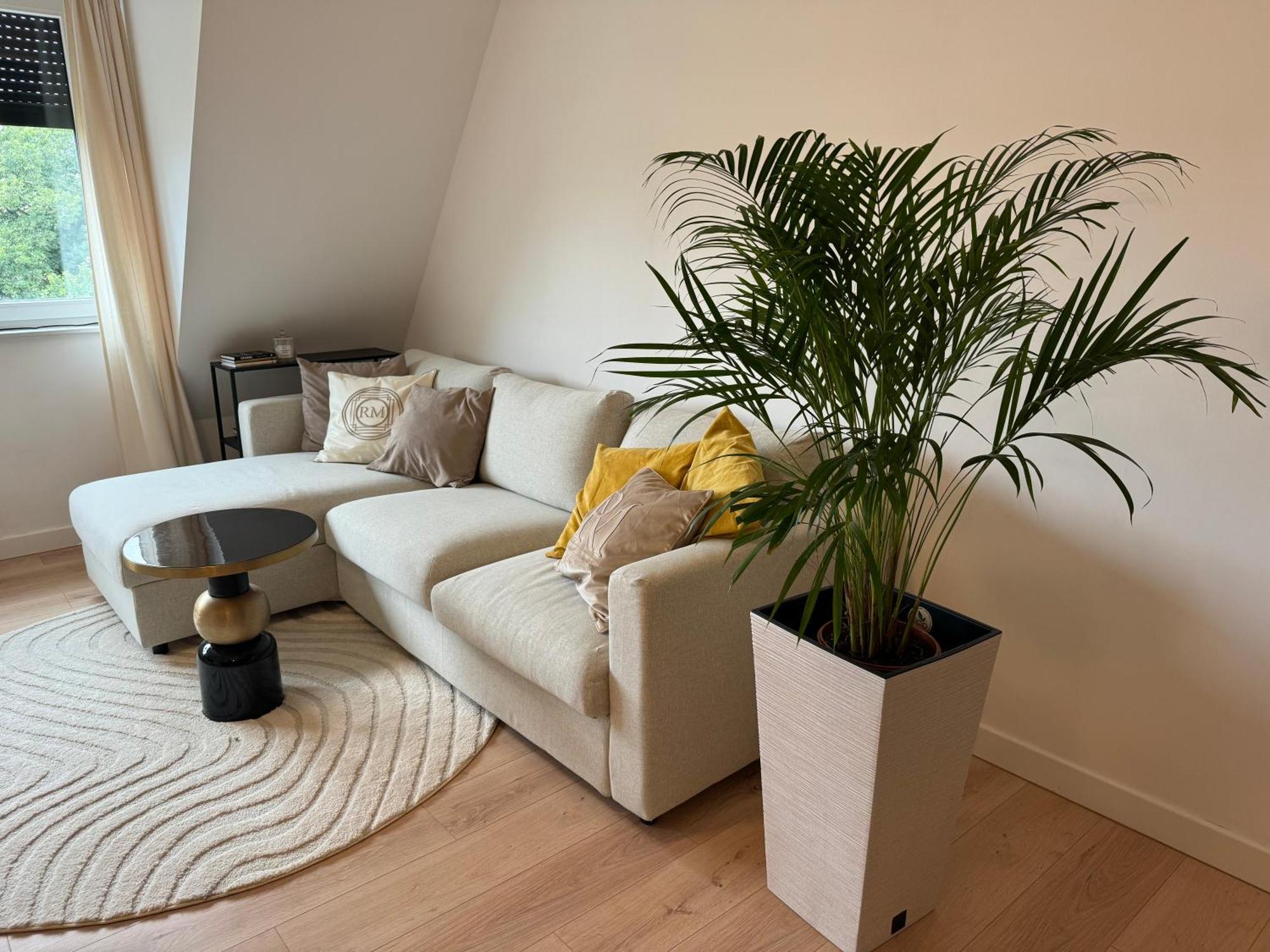 Moon Apartment Torun Bagian luar foto