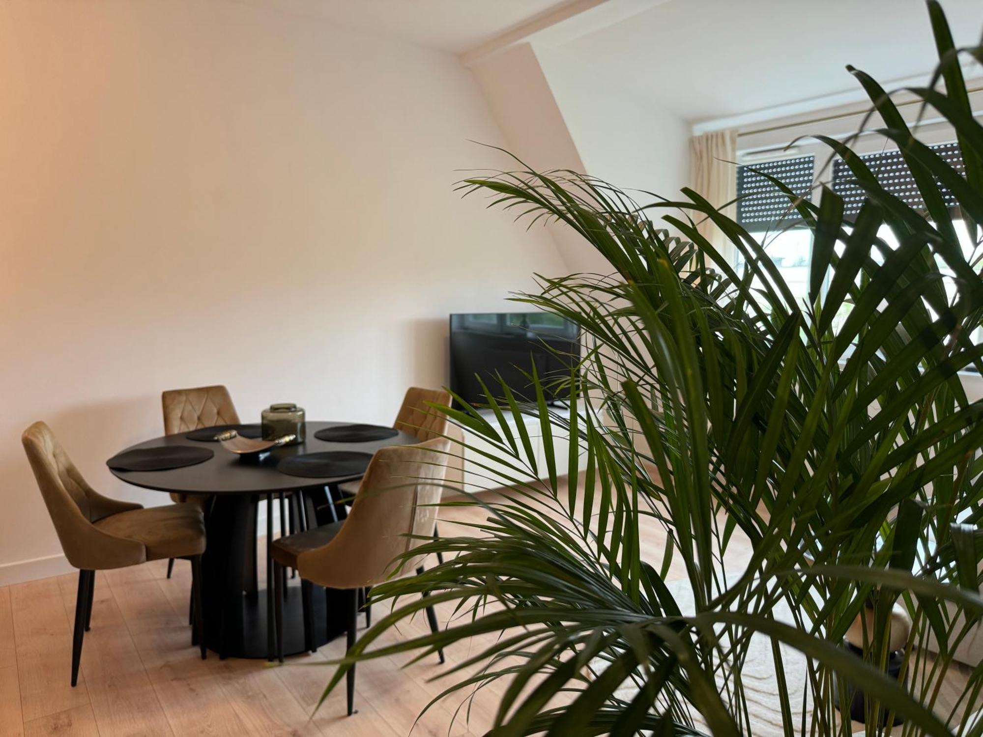 Moon Apartment Torun Bagian luar foto